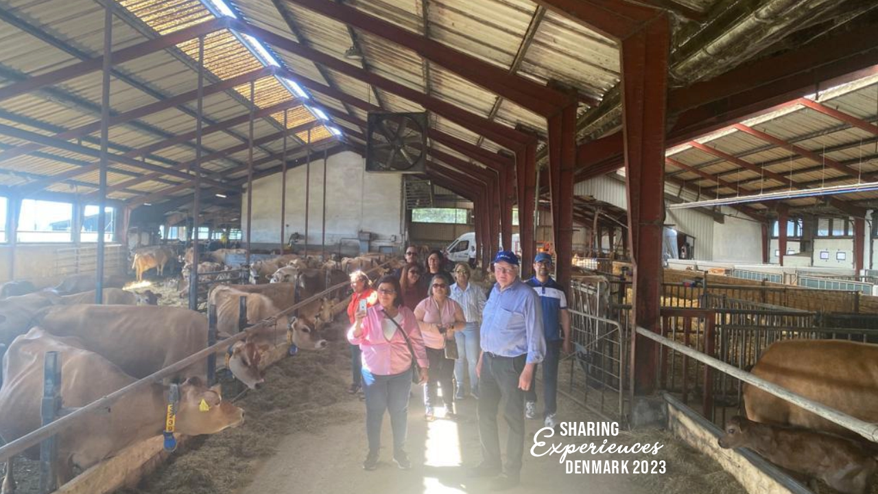 Dinamarca_slider_2023